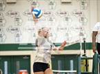 Photo from the gallery "L'Anse Creuse North @ Fenton"