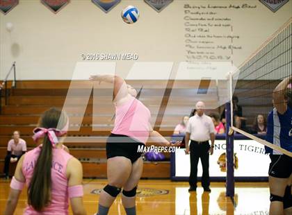 Thumbnail 2 in Grace Christian @ Lawrence photogallery.