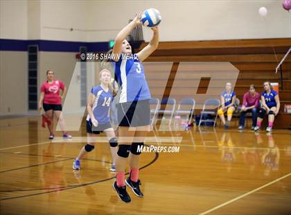 Thumbnail 3 in Grace Christian @ Lawrence photogallery.