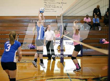 Thumbnail 3 in Grace Christian @ Lawrence photogallery.
