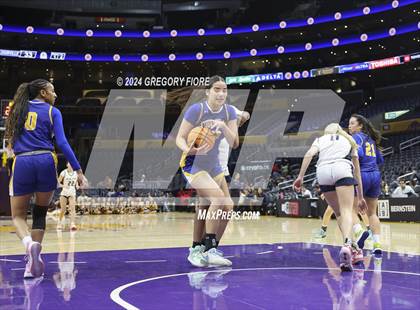 Thumbnail 3 in Notre Dame (SO) vs Louisville (2024 Coastal Catholic Classic) photogallery.