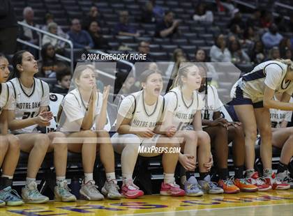 Thumbnail 3 in Notre Dame (SO) vs Louisville (2024 Coastal Catholic Classic) photogallery.