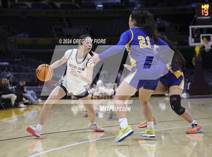 Thumbnail 1 in Notre Dame (SO) vs Louisville (2024 Coastal Catholic Classic) photogallery.