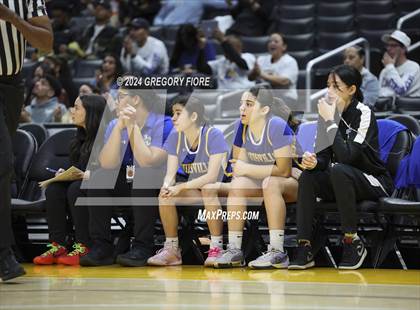 Thumbnail 1 in Notre Dame (SO) vs Louisville (2024 Coastal Catholic Classic) photogallery.