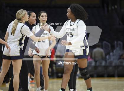 Thumbnail 2 in Notre Dame (SO) vs Louisville (2024 Coastal Catholic Classic) photogallery.