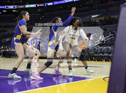 Thumbnail 3 in Notre Dame (SO) vs Louisville (2024 Coastal Catholic Classic) photogallery.