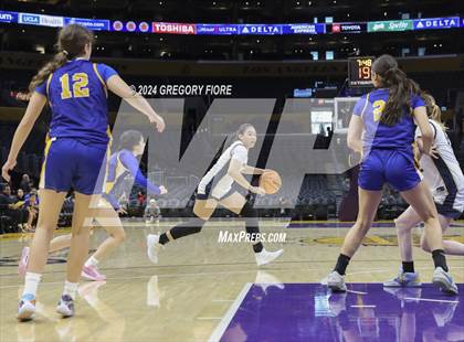 Thumbnail 2 in Notre Dame (SO) vs Louisville (2024 Coastal Catholic Classic) photogallery.