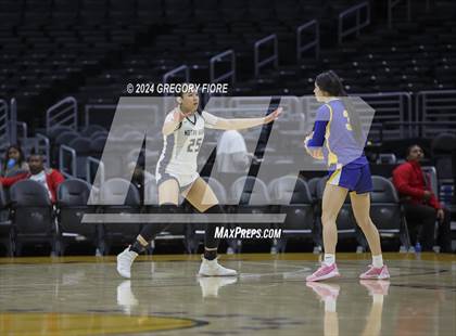 Thumbnail 1 in Notre Dame (SO) vs Louisville (2024 Coastal Catholic Classic) photogallery.