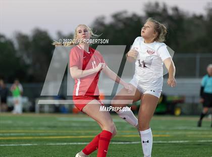 Thumbnail 1 in Manatee @ Cardinal Mooney photogallery.