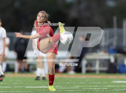 Thumbnail 1 in Manatee @ Cardinal Mooney photogallery.