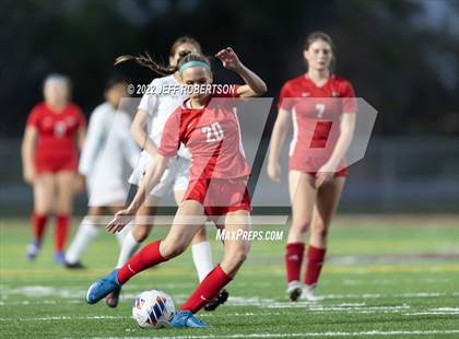 Thumbnail 1 in Manatee @ Cardinal Mooney photogallery.
