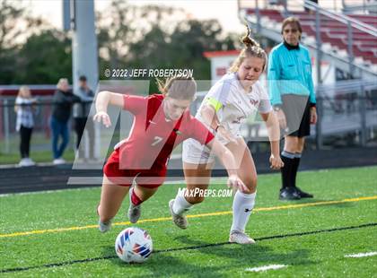 Thumbnail 2 in Manatee @ Cardinal Mooney photogallery.