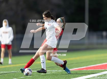 Thumbnail 1 in Manatee @ Cardinal Mooney photogallery.