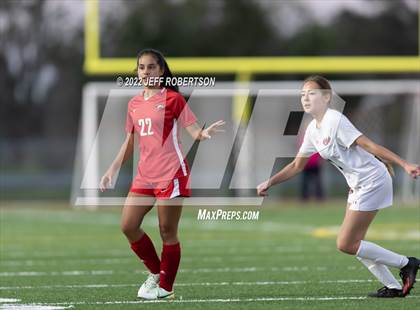 Thumbnail 2 in Manatee @ Cardinal Mooney photogallery.