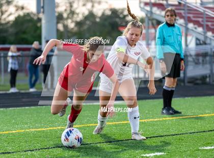 Thumbnail 1 in Manatee @ Cardinal Mooney photogallery.