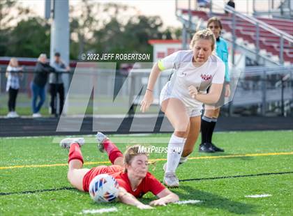 Thumbnail 1 in Manatee @ Cardinal Mooney photogallery.
