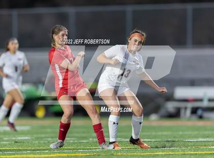 Thumbnail 2 in Manatee @ Cardinal Mooney photogallery.