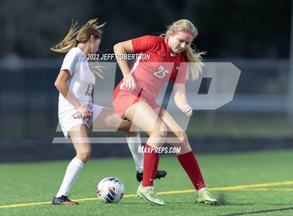 Thumbnail 1 in Manatee @ Cardinal Mooney photogallery.