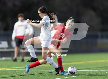 Thumbnail 2 in Manatee @ Cardinal Mooney photogallery.