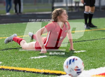 Thumbnail 2 in Manatee @ Cardinal Mooney photogallery.