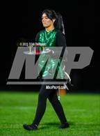 Photo from the gallery "Genoa-Kingston @ Rock Falls"