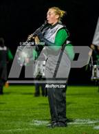 Photo from the gallery "Genoa-Kingston @ Rock Falls"