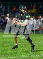 Photo from the gallery "Genoa-Kingston @ Rock Falls"