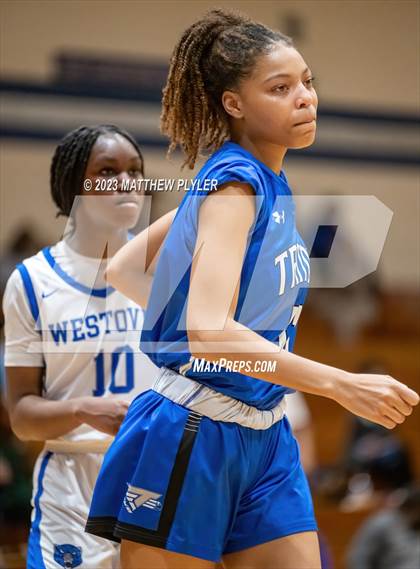 Thumbnail 1 in Triton @ Westover photogallery.
