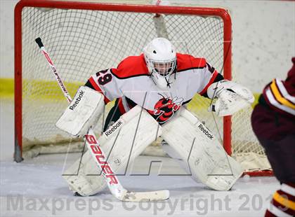 Thumbnail 2 in Sheehan @ Branford photogallery.