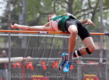 Thumbnail 1 in Arcadia Invitational (High Jump) photogallery.