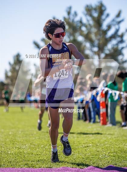 Thumbnail 1 in NIAA 4A  Desert League Regionals photogallery.