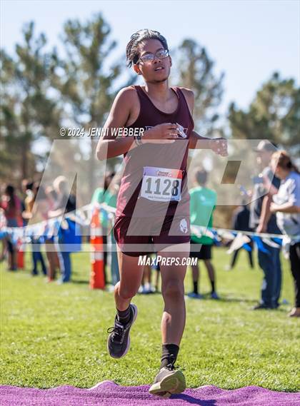Thumbnail 2 in NIAA 4A  Desert League Regionals photogallery.