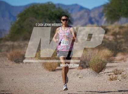 Thumbnail 3 in NIAA 4A  Desert League Regionals photogallery.