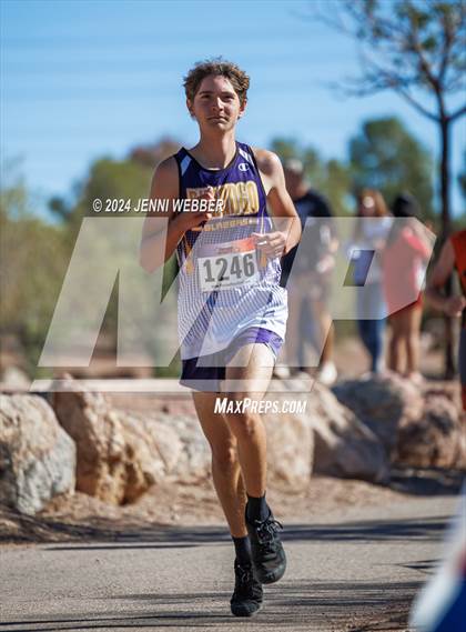 Thumbnail 1 in NIAA 4A  Desert League Regionals photogallery.
