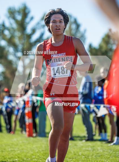 Thumbnail 2 in NIAA 4A  Desert League Regionals photogallery.