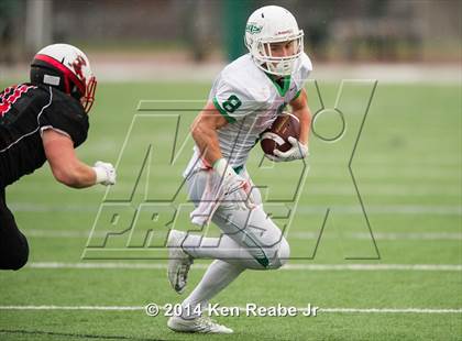 Thumbnail 1 in South Fayette vs. Hickory (PIAA Class AA Semifinal) photogallery.