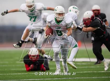 Thumbnail 1 in South Fayette vs. Hickory (PIAA Class AA Semifinal) photogallery.