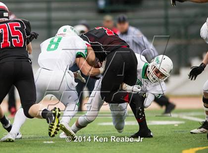 Thumbnail 1 in South Fayette vs. Hickory (PIAA Class AA Semifinal) photogallery.