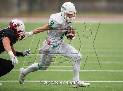 Thumbnail 1 in South Fayette vs. Hickory (PIAA Class AA Semifinal) photogallery.