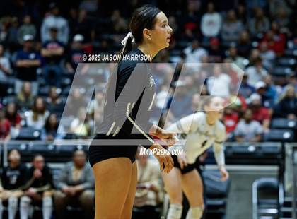 Thumbnail 3 in Wimberly vs. Eagle Mountain (UIL Volleyball 4A D2 Final) photogallery.