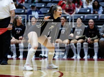 Thumbnail 1 in Wimberly vs. Eagle Mountain (UIL Volleyball 4A D2 Final) photogallery.