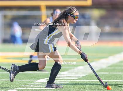 Thumbnail 1 in Del Mar @ Willow Glen photogallery.