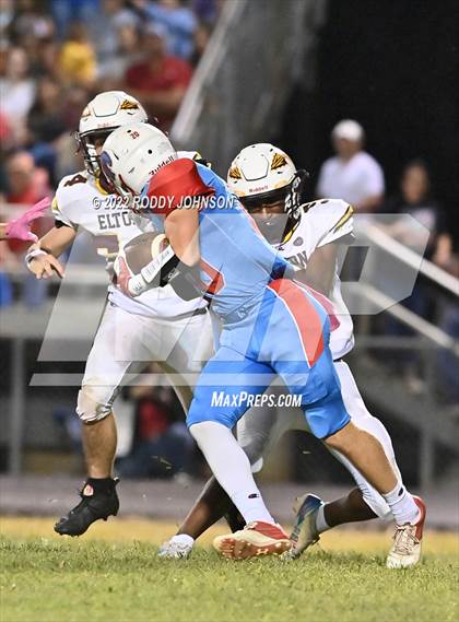 Thumbnail 3 in Elton @ East Beauregard photogallery.