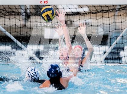 Thumbnail 1 in Evergreen Valley @ Branham photogallery.