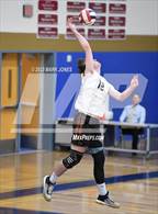 Photo from the gallery "Corona del Sol @ O'Connor"
