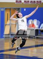 Photo from the gallery "Corona del Sol @ O'Connor"