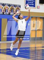 Photo from the gallery "Corona del Sol @ O'Connor"