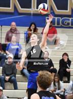 Photo from the gallery "Corona del Sol @ O'Connor"