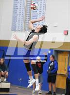 Photo from the gallery "Corona del Sol @ O'Connor"