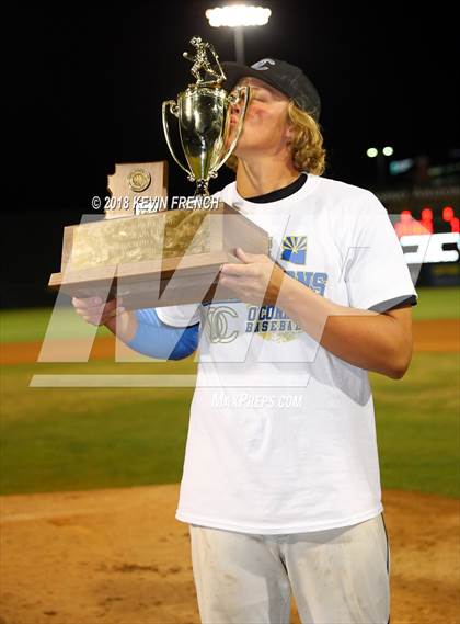 Thumbnail 3 in O'Connor (AIA 6A Final Awards) photogallery.